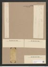 Synedra ulna var. aequalis (Kuetz.) Rabh. (de-Toni-Nr.: Genus 66, Species 2584) Zeichnungen Sammlung Grunow Nr. 5196 (NHMW-BOT-W0373557)